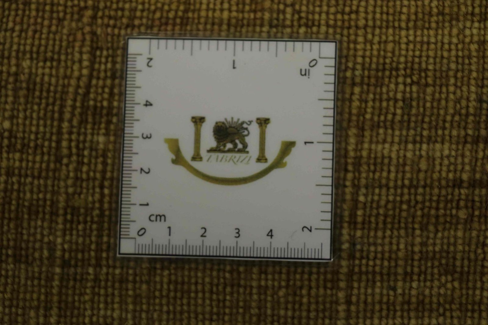 Loom Lori 325x243 - Image 6