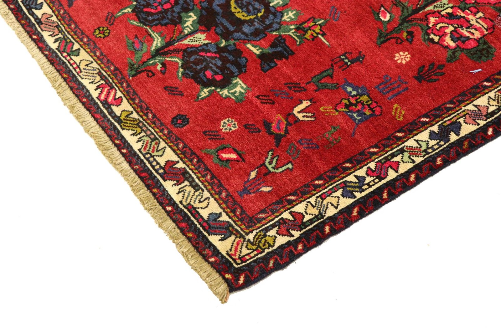 Sirjan 294x91 - Image 3