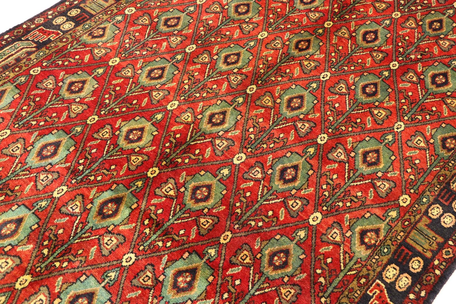 Koliai 285x148 - Image 3