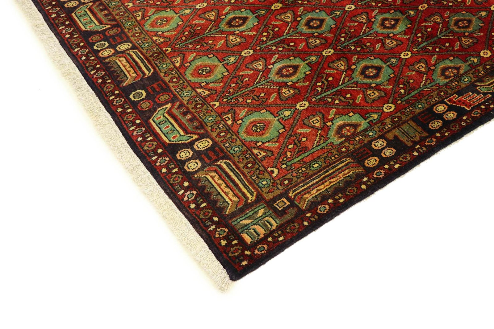 Koliai 285x148 - Image 4