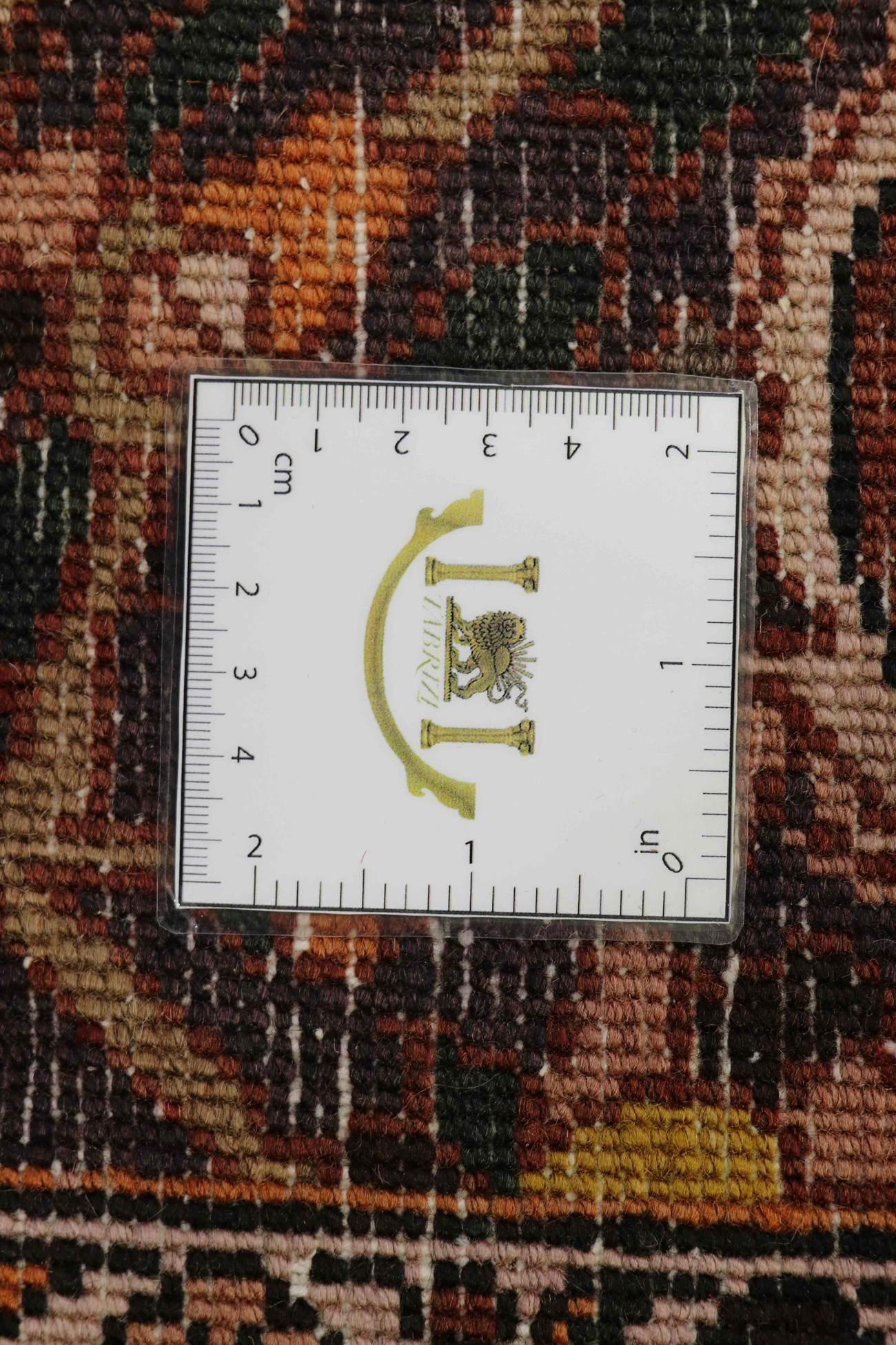 Bakhtiar 300x210 - Image 6