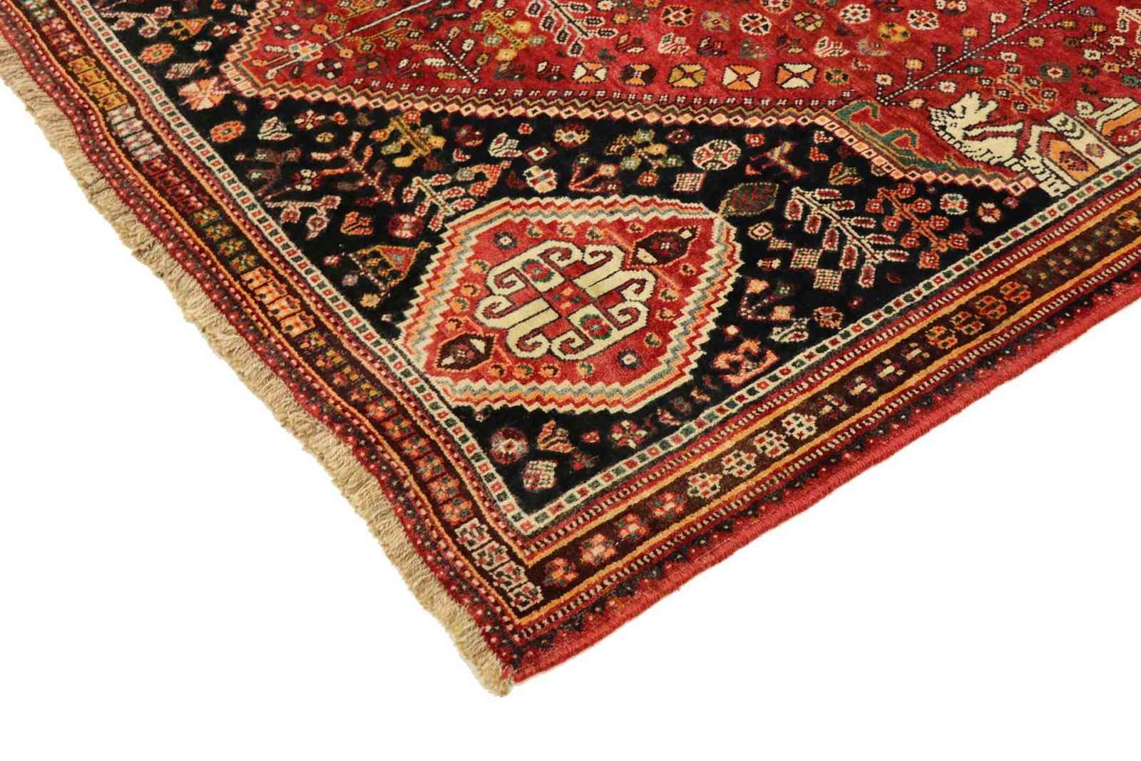 Ghashghai 250x155 - Image 3