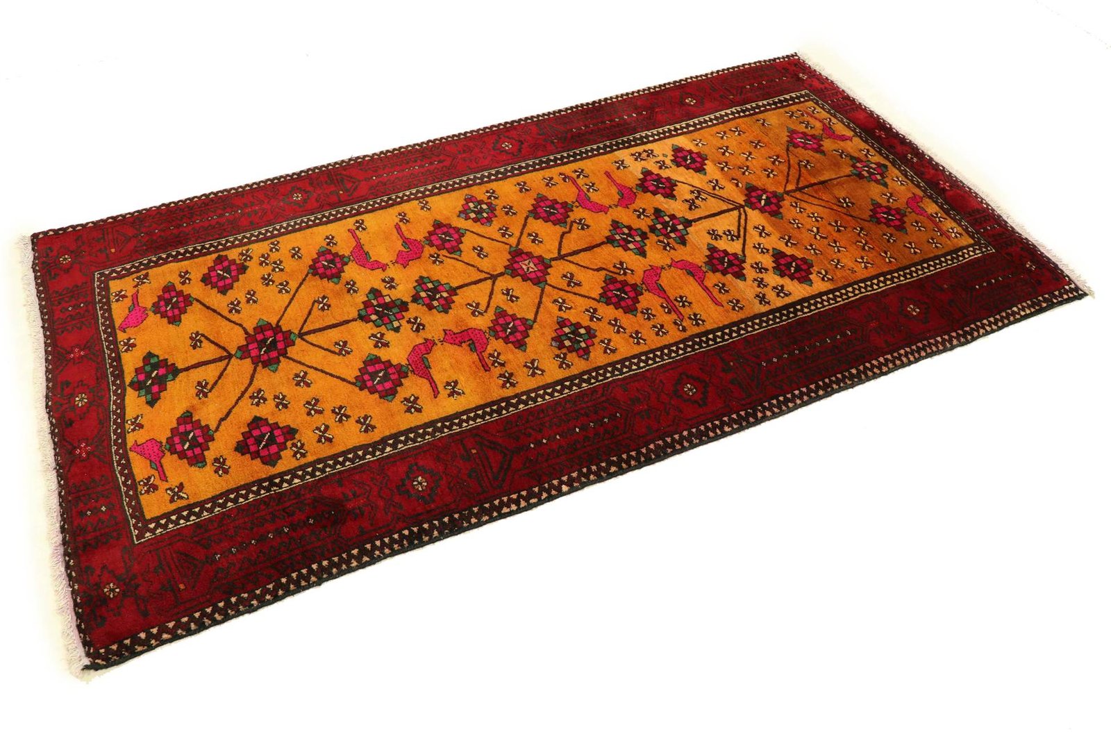 Baluch 240x122 - Image 2