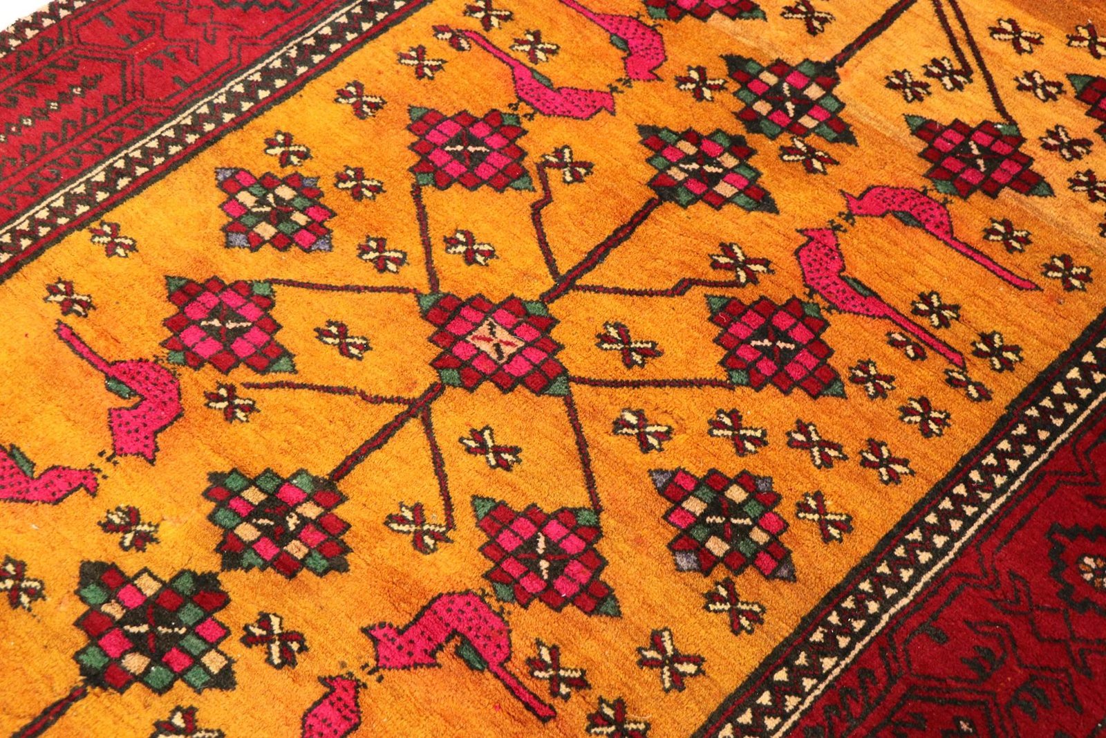 Baluch 240x122 - Image 3