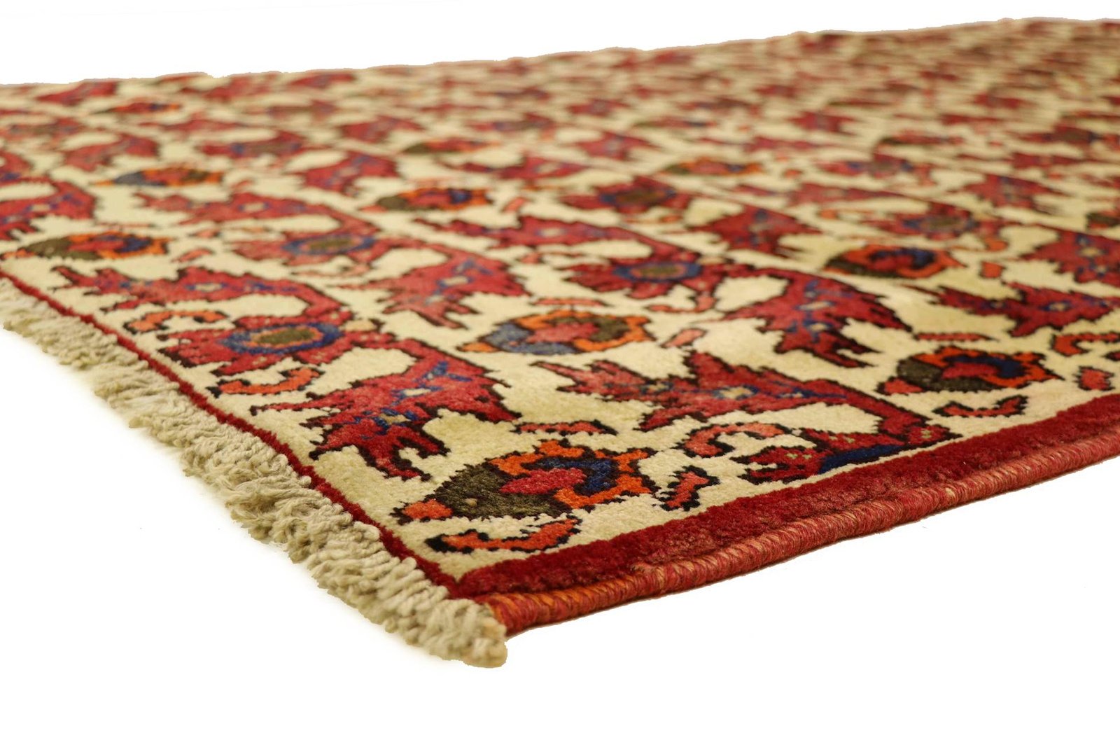 Yalameh 194x124 - Image 5