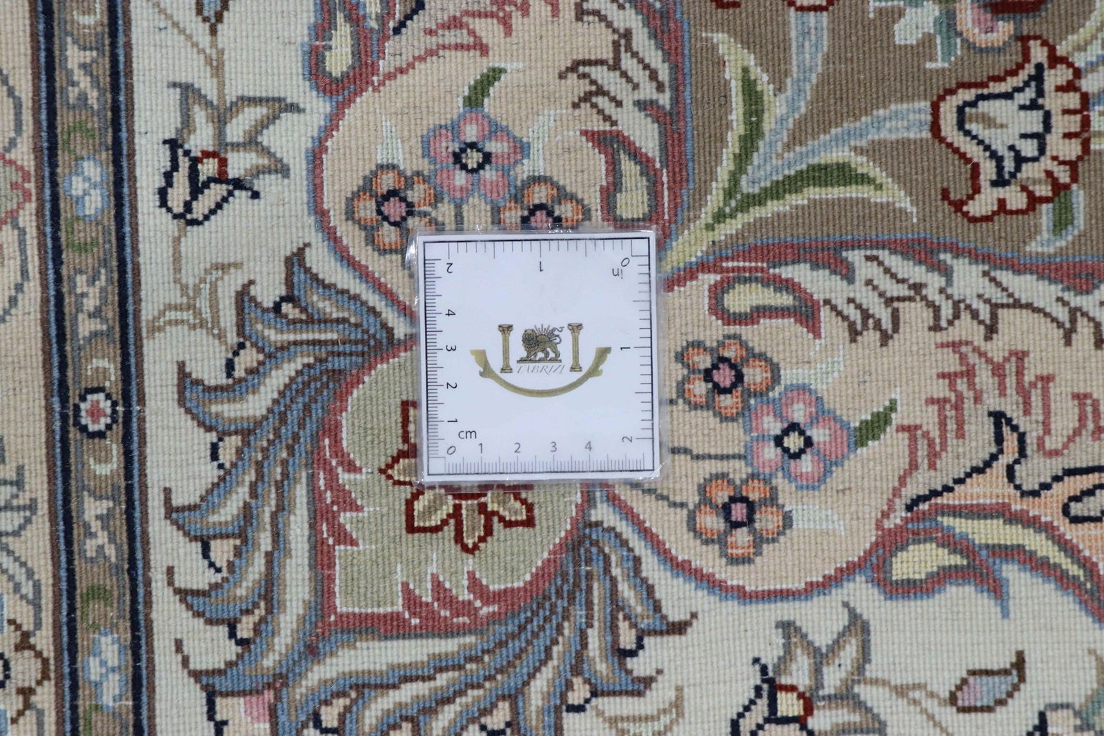 Tabriz 50 Raj 250 x 200 - Image 9