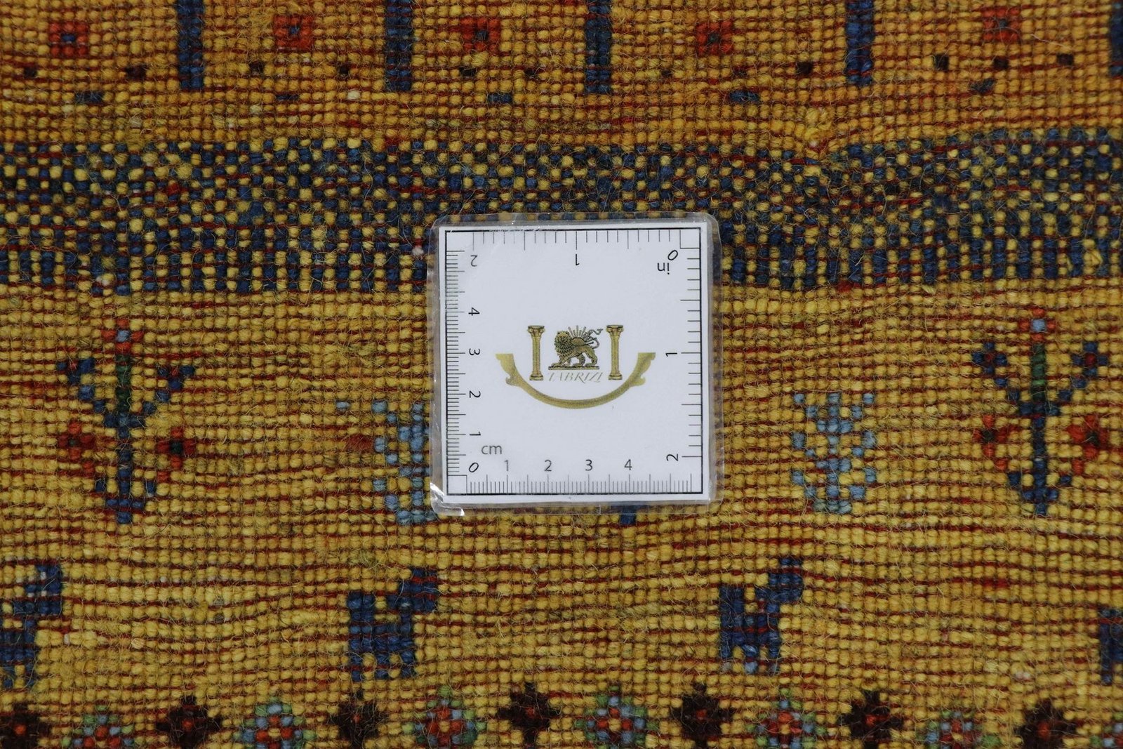 Lori Baseri 193 x 131 - Image 8