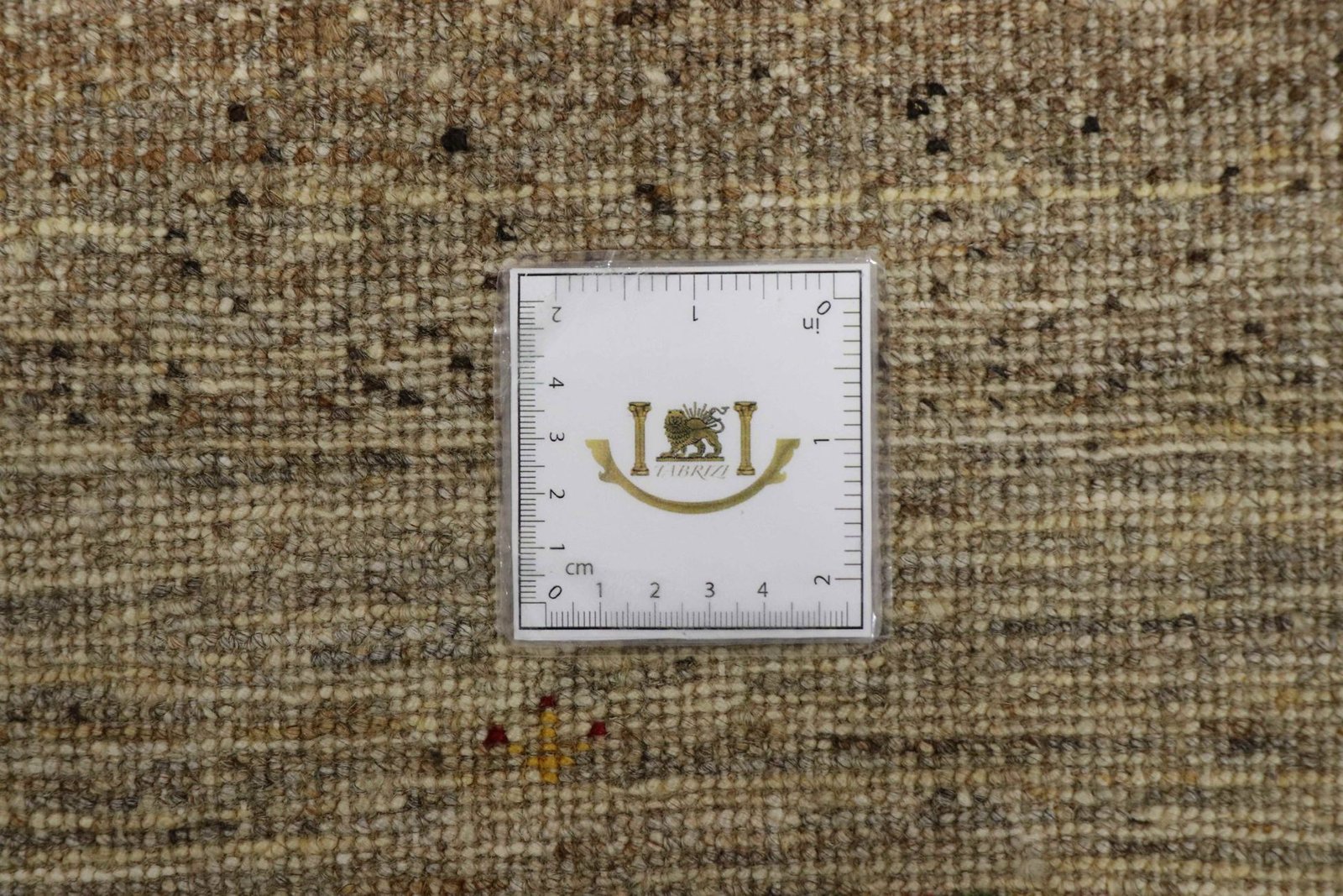 Lori Baseri 205 x 153 - Image 8