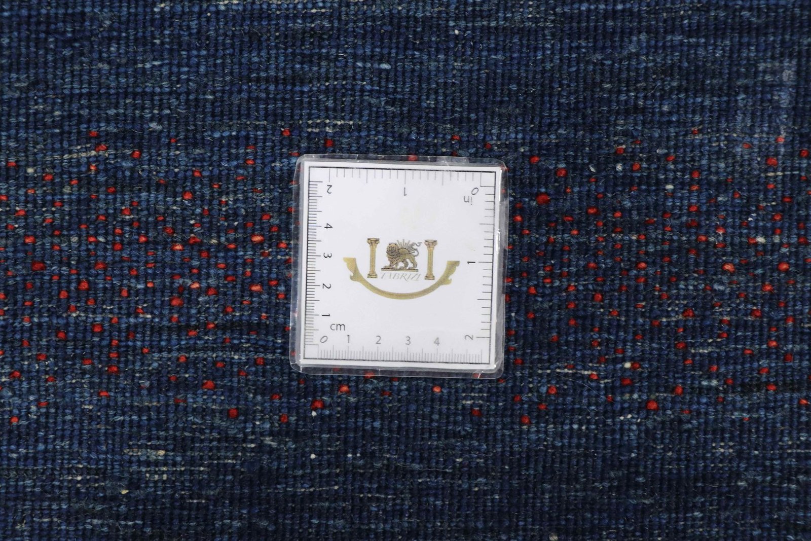 Lori Baseri 171 x 116 - Image 8