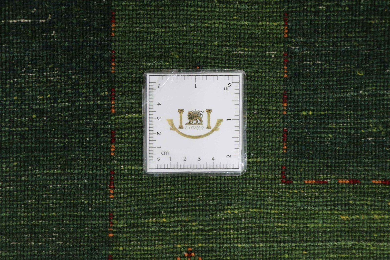 Lori Baseri 162 x 132 - Image 9