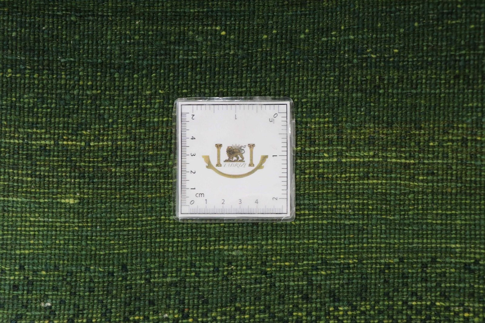 Lori Baseri 312 x 200 - Image 9