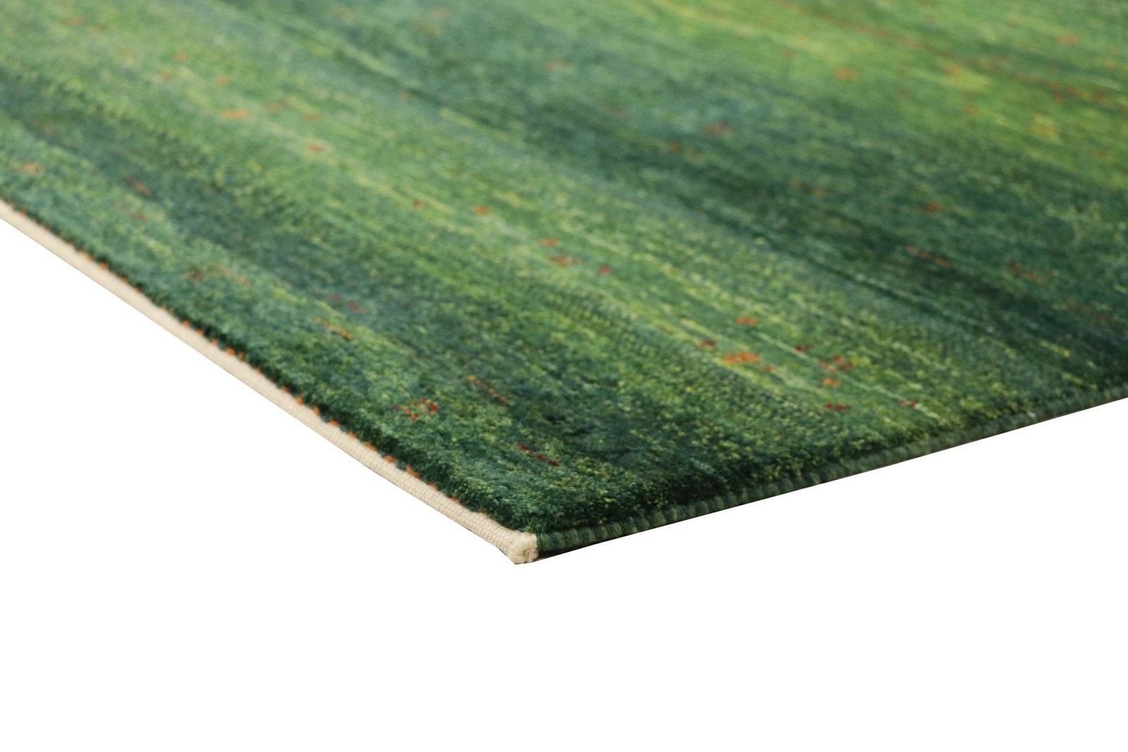 Lori Baseri 150 x 102 - Image 4