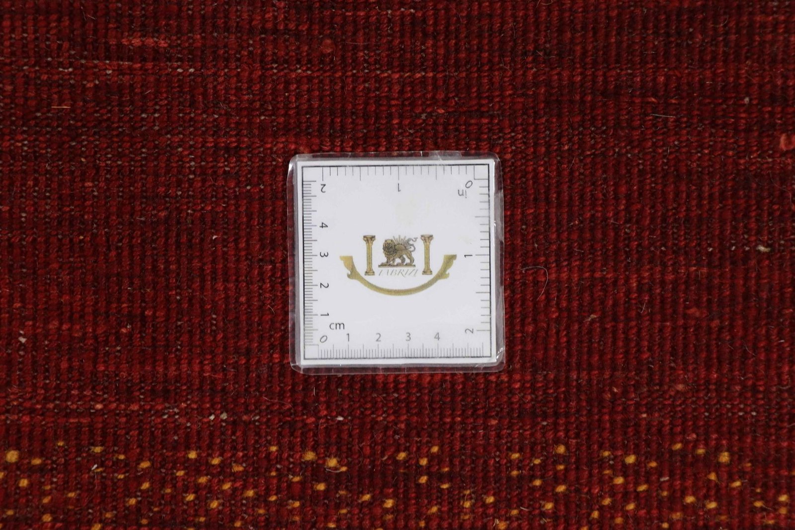 Lori Baseri 163 x 106 - Image 6