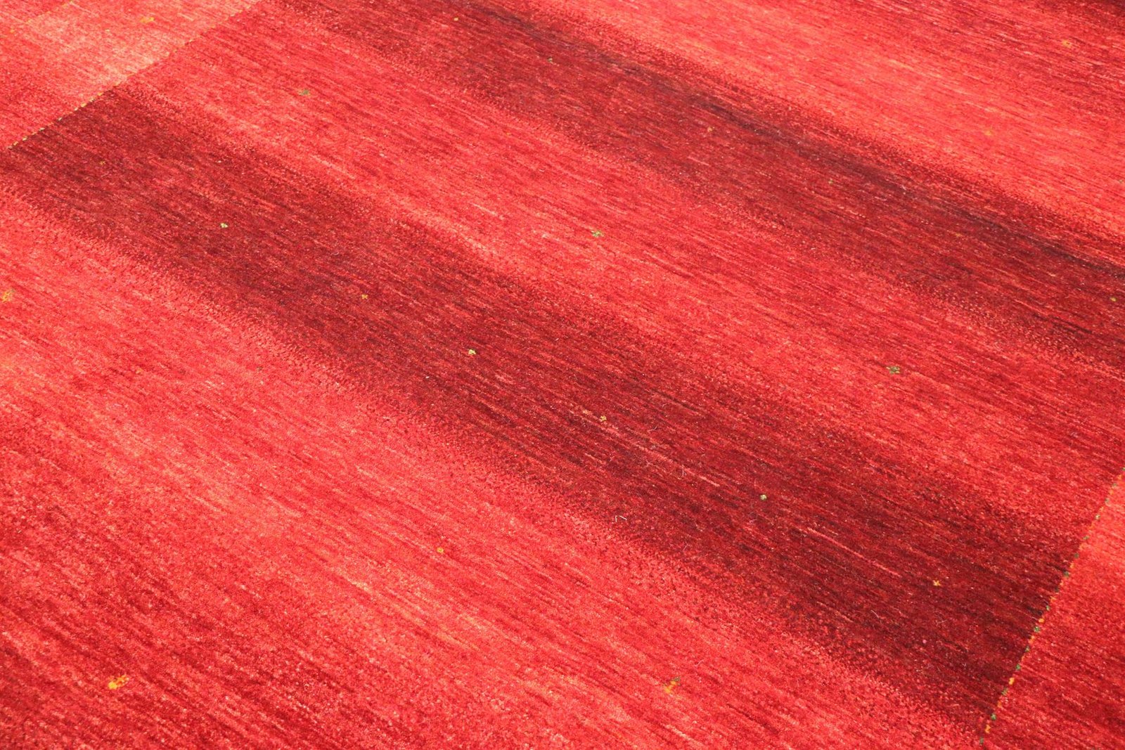 Lori Baseri 354 x 244 - Image 4