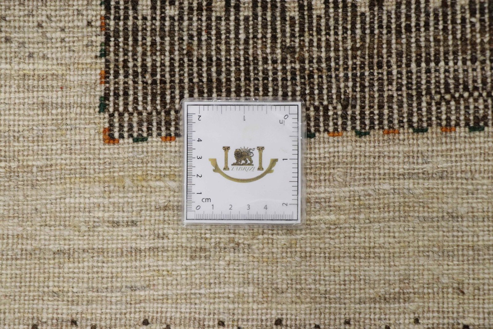 Lori Baseri 323 x 227 - Image 9