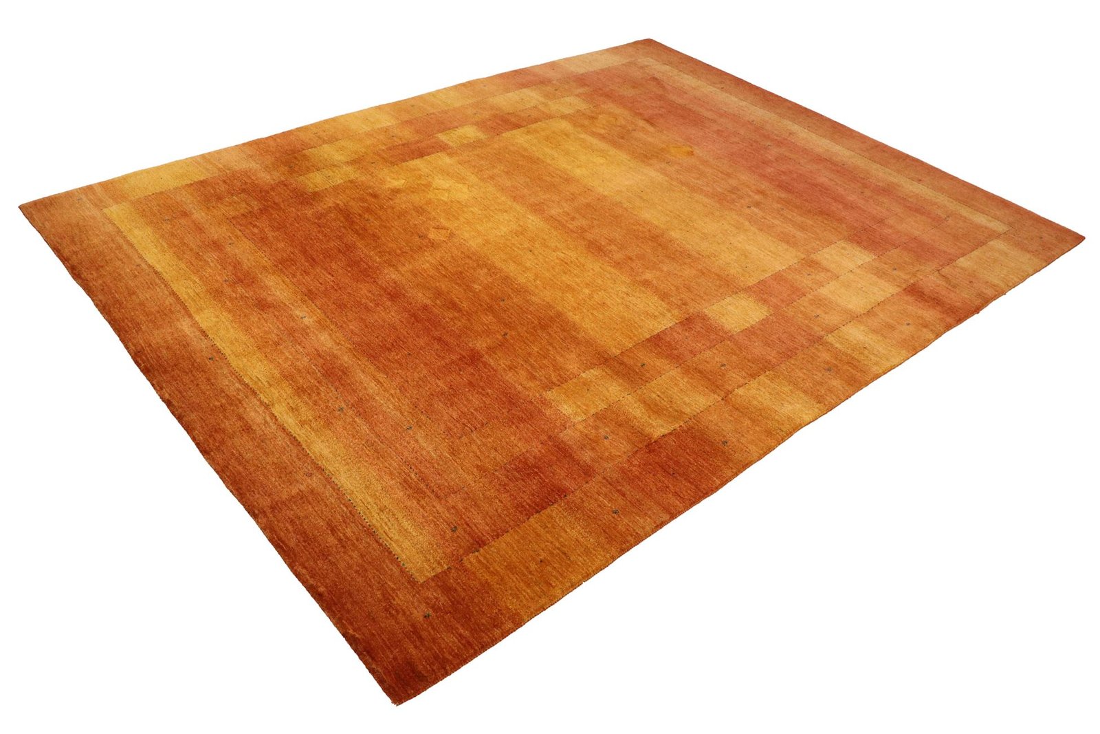 Lori Baseri 338 x 258 - Image 2