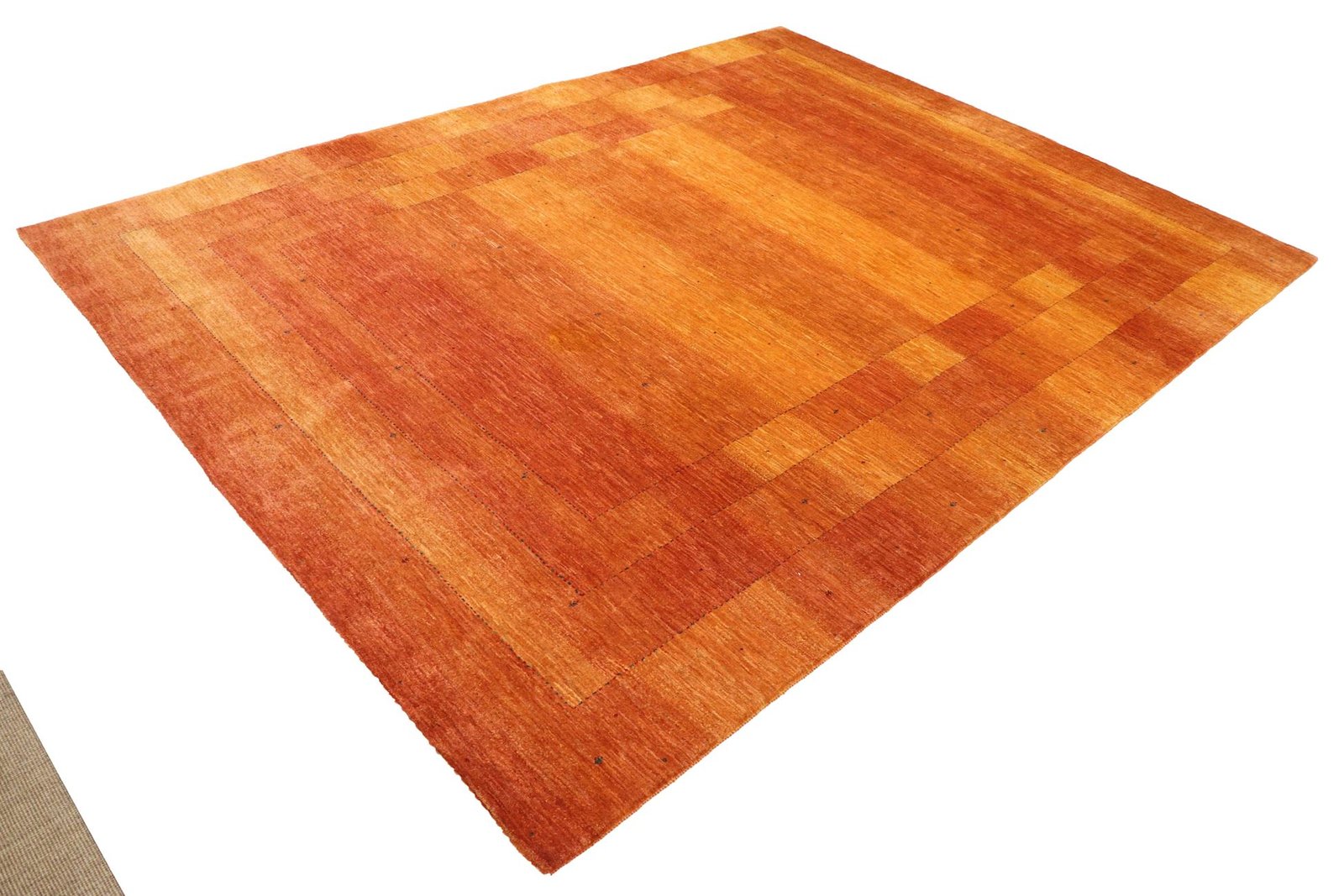 Lori Baseri 338 x 258 - Image 3