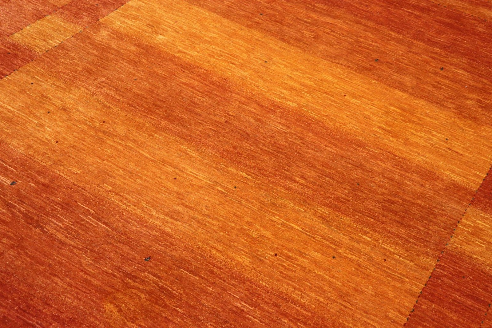 Lori Baseri 338 x 258 - Image 4