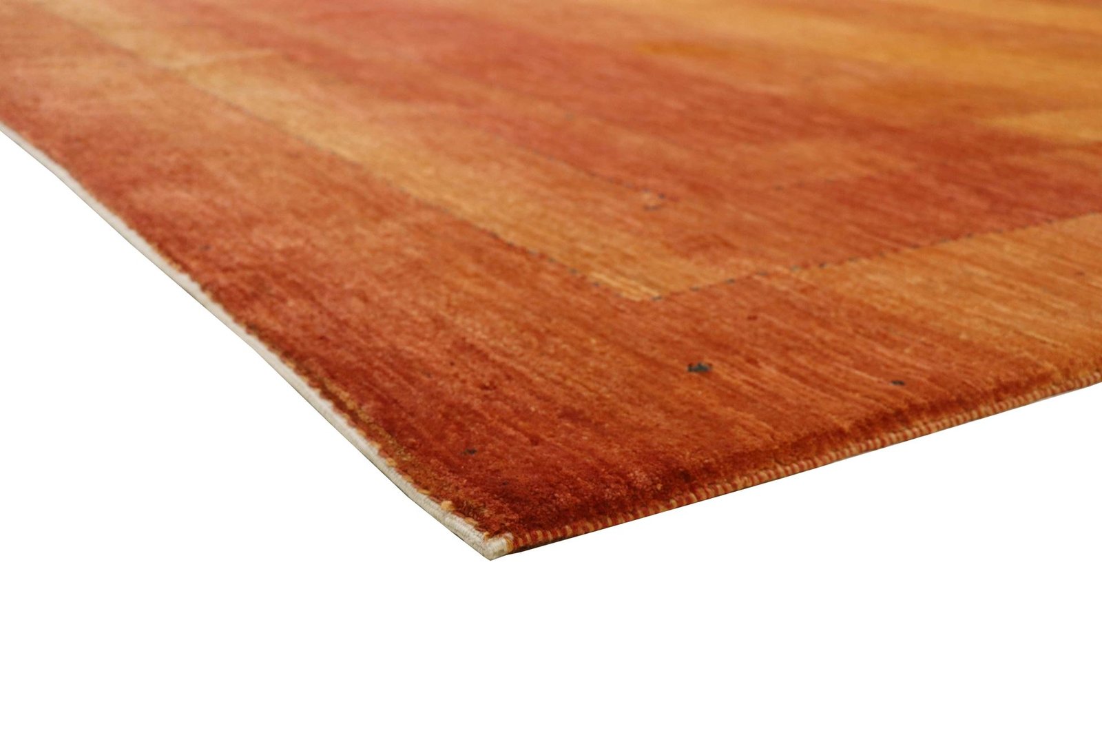 Lori Baseri 338 x 258 - Image 7