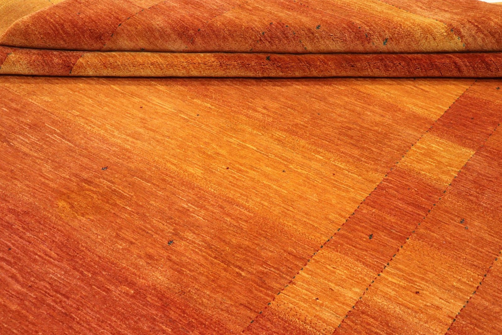 Lori Baseri 338 x 258 - Image 8