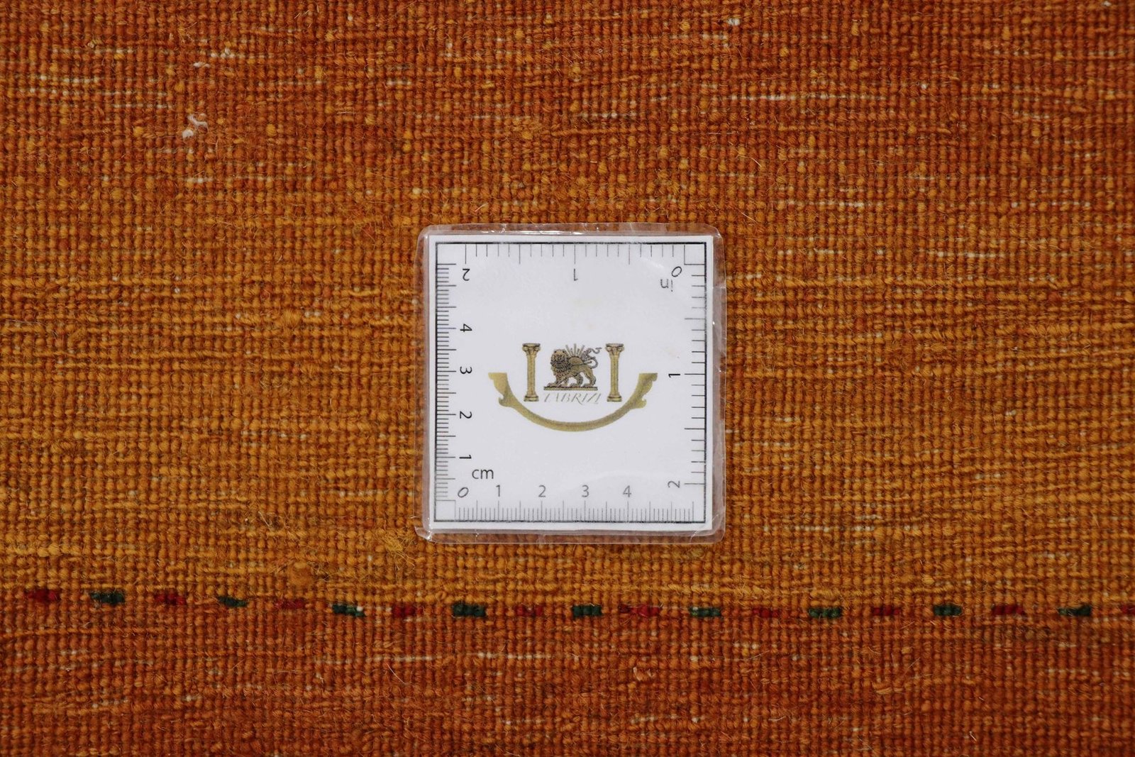 Lori Baseri 338 x 258 - Image 9