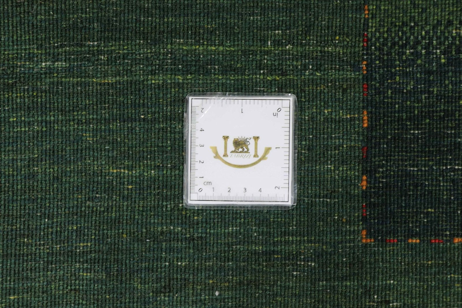 Lori Baseri 244 x 172 - Image 9