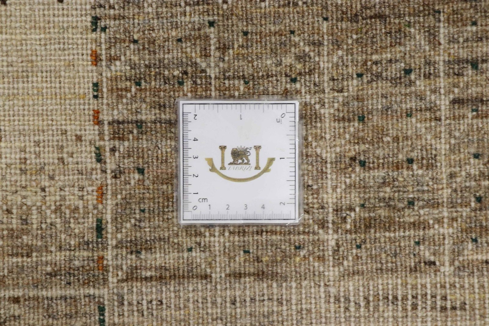 Lori Baseri 248 x 174 - Image 9