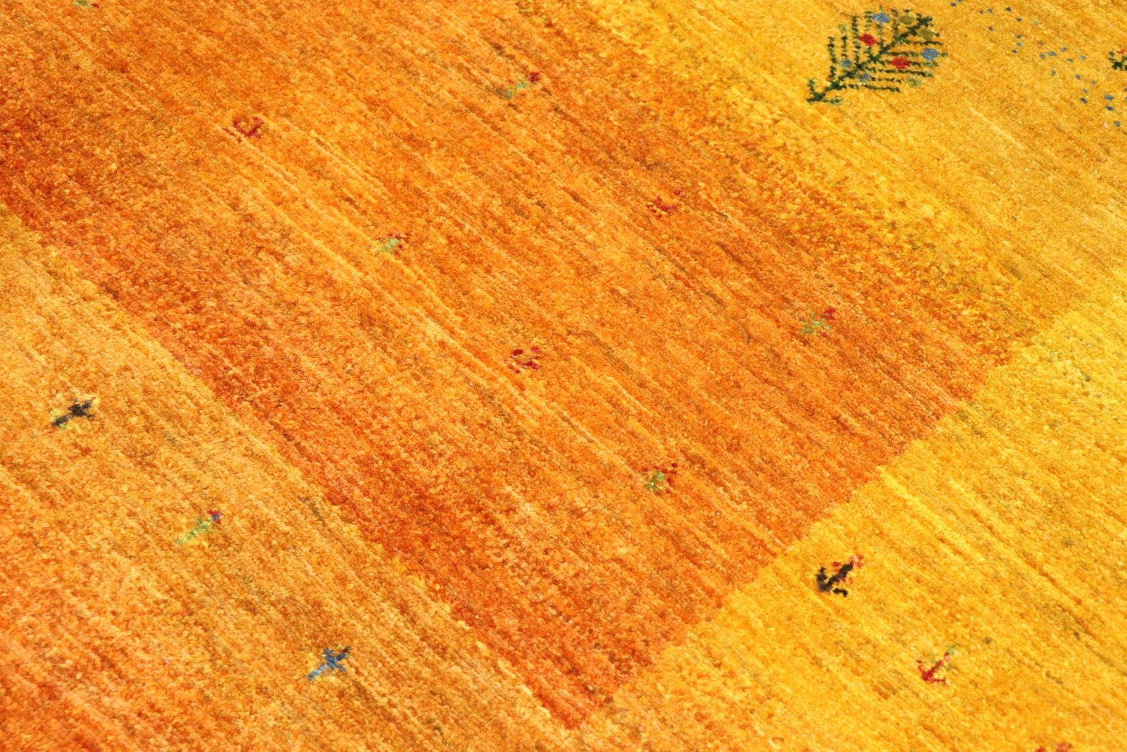 Lori Baseri 264 x 177 - Image 5