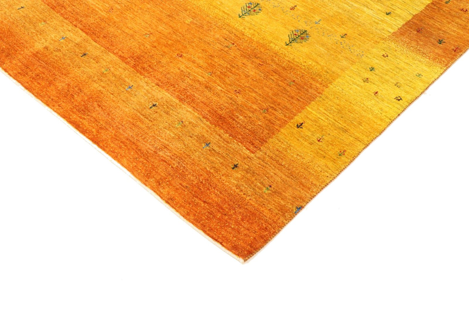 Lori Baseri 264 x 177 - Image 6