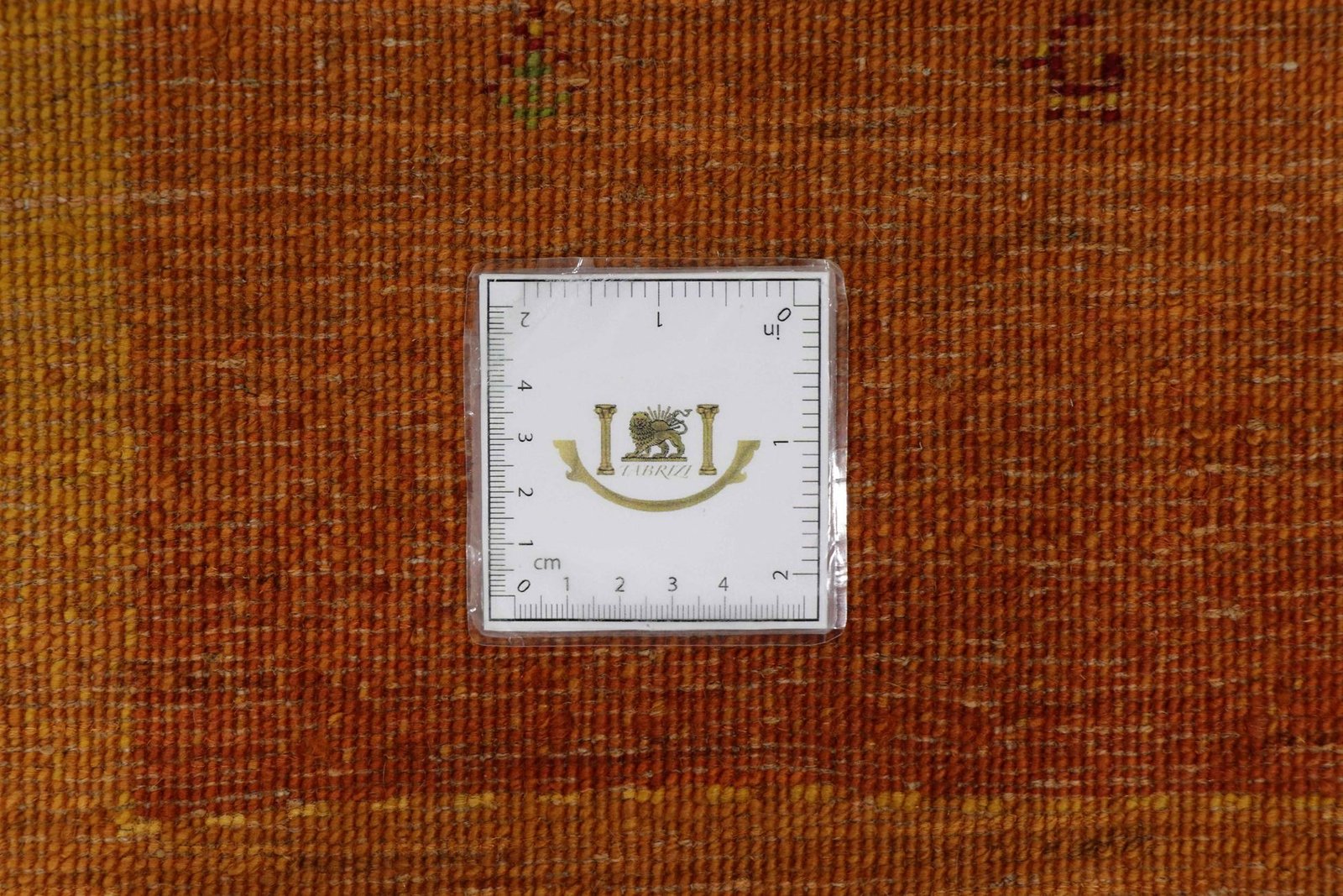 Lori Baseri 264 x 177 - Image 9