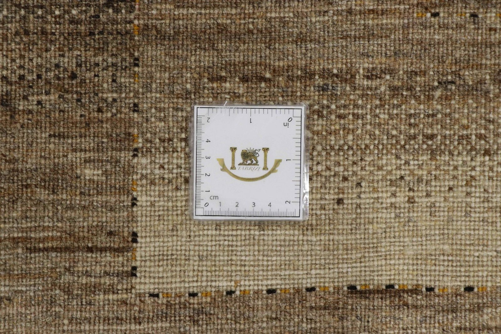 Lori Baseri 231 x 175 - Image 9