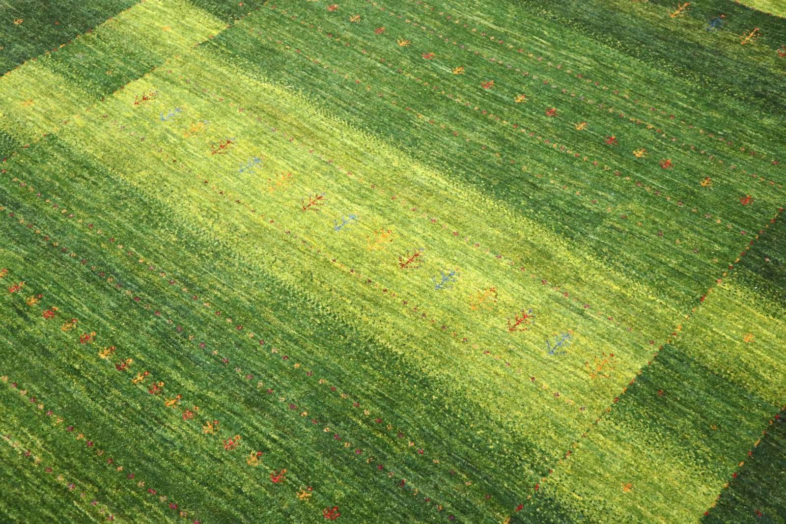 Lori Baseri 294 x 195 - Image 4