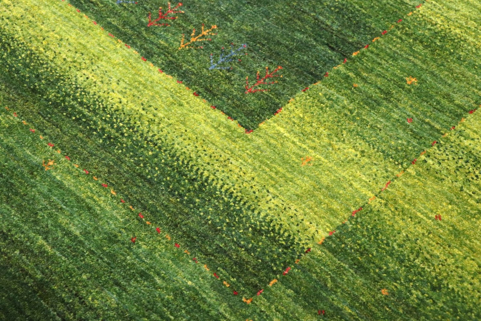 Lori Baseri 294 x 195 - Image 5