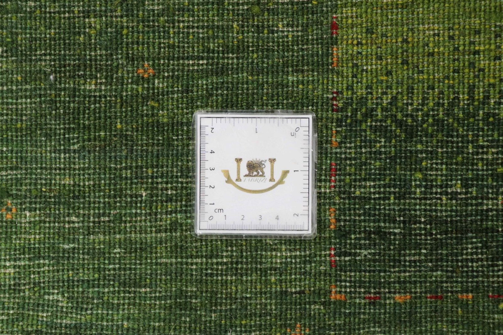 Lori Baseri 294 x 195 - Image 9