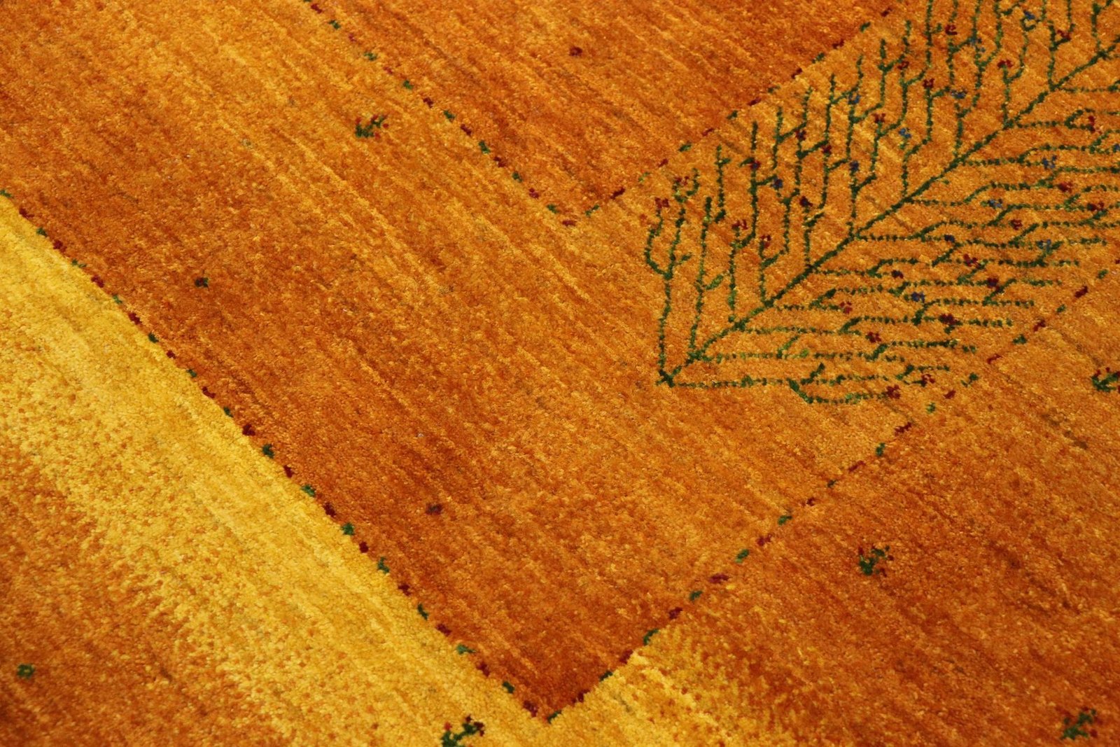 Lori Baseri 315 x 227 - Image 5