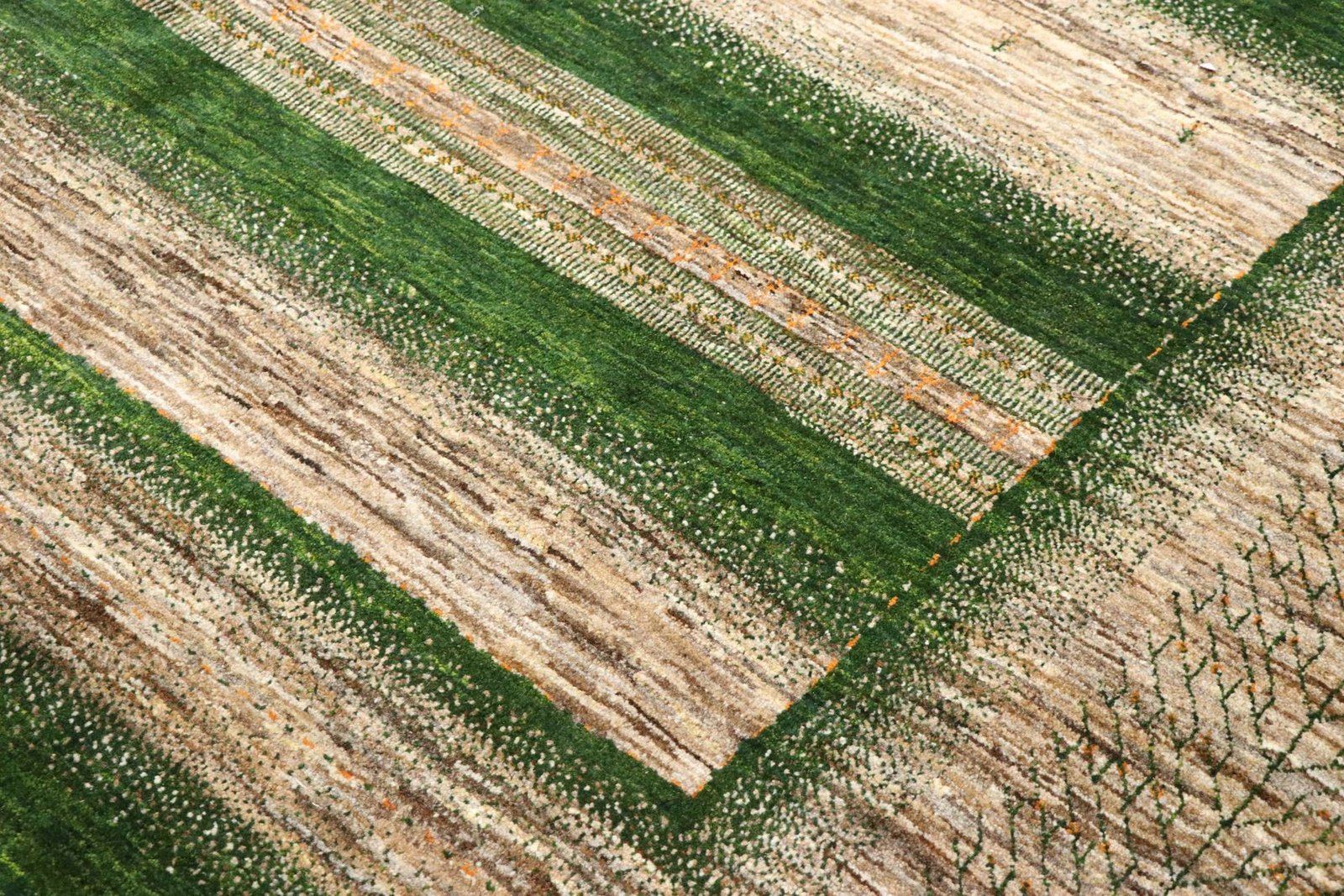 Lori Baseri 300 x 204 - Image 5