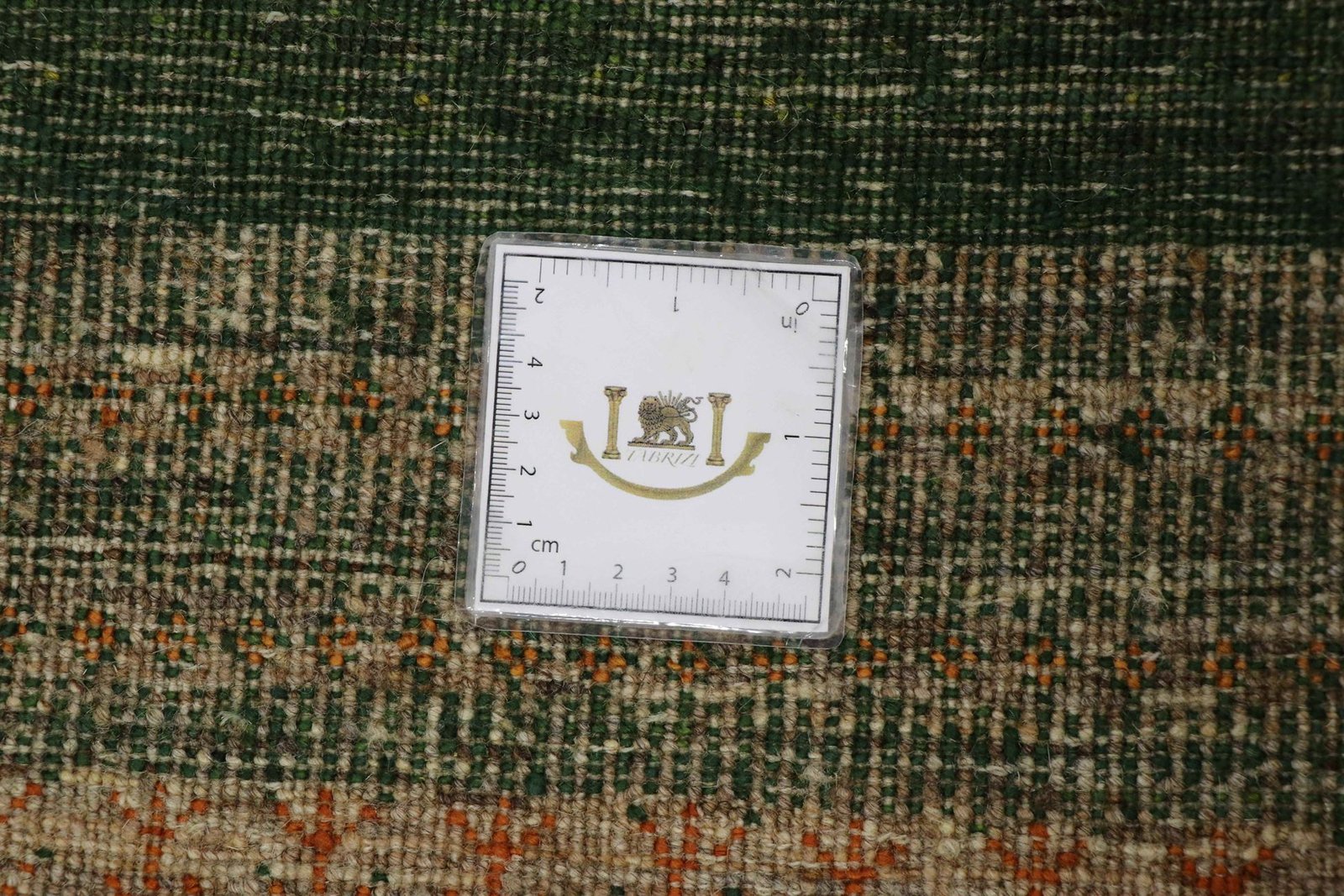 Lori Baseri 300 x 204 - Image 9