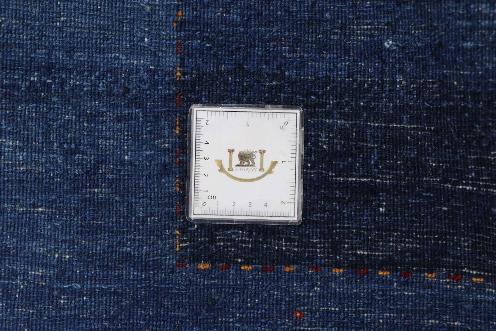 Lori Baseri 310 x 222 - Image 9