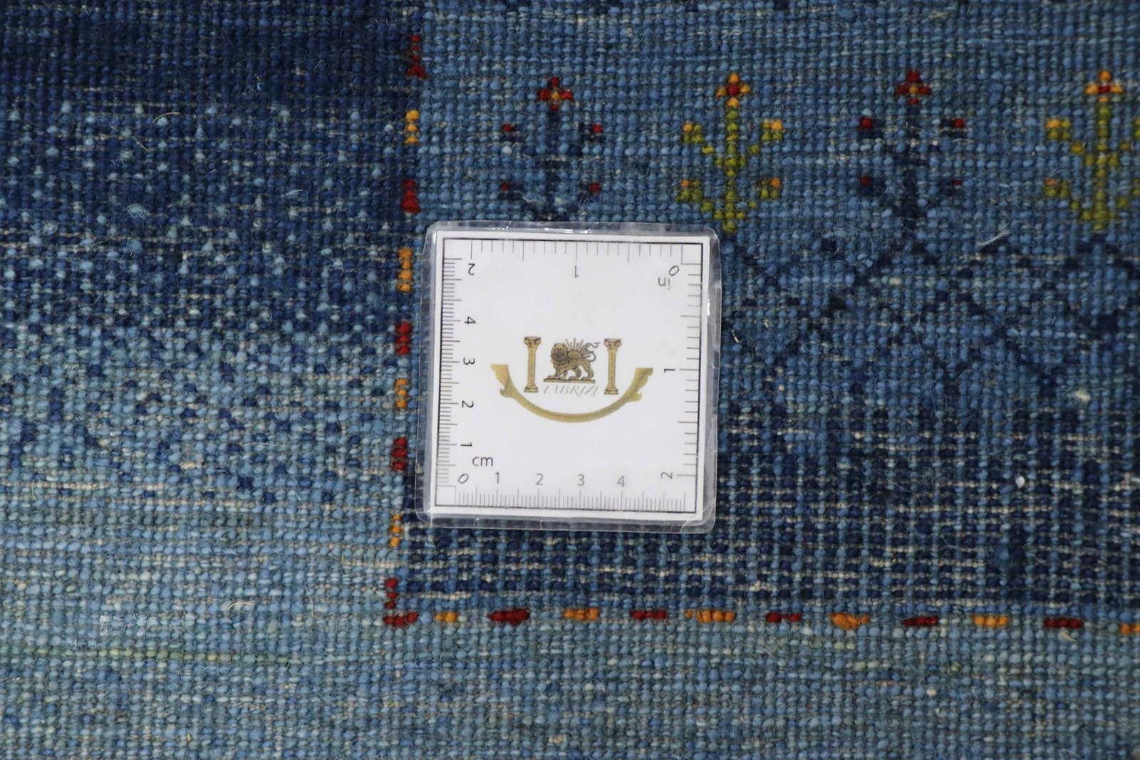 Lori Baseri 331 x 228 - Image 9