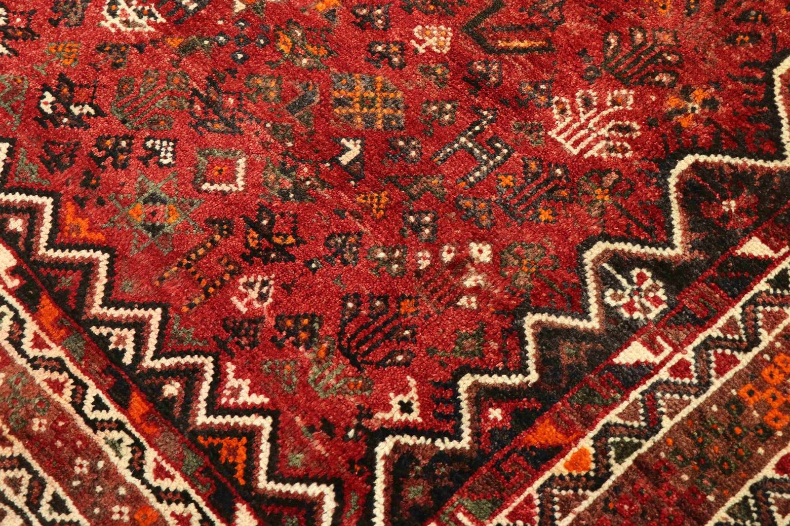 Shiraz 305x228 - Image 5