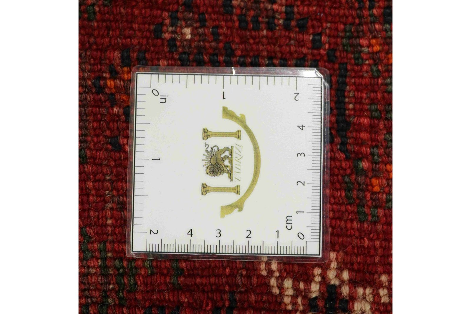 Shiraz 305x228 - Image 9