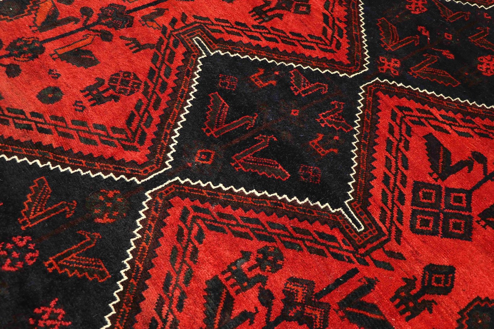 Shiraz 288x209 - Image 4