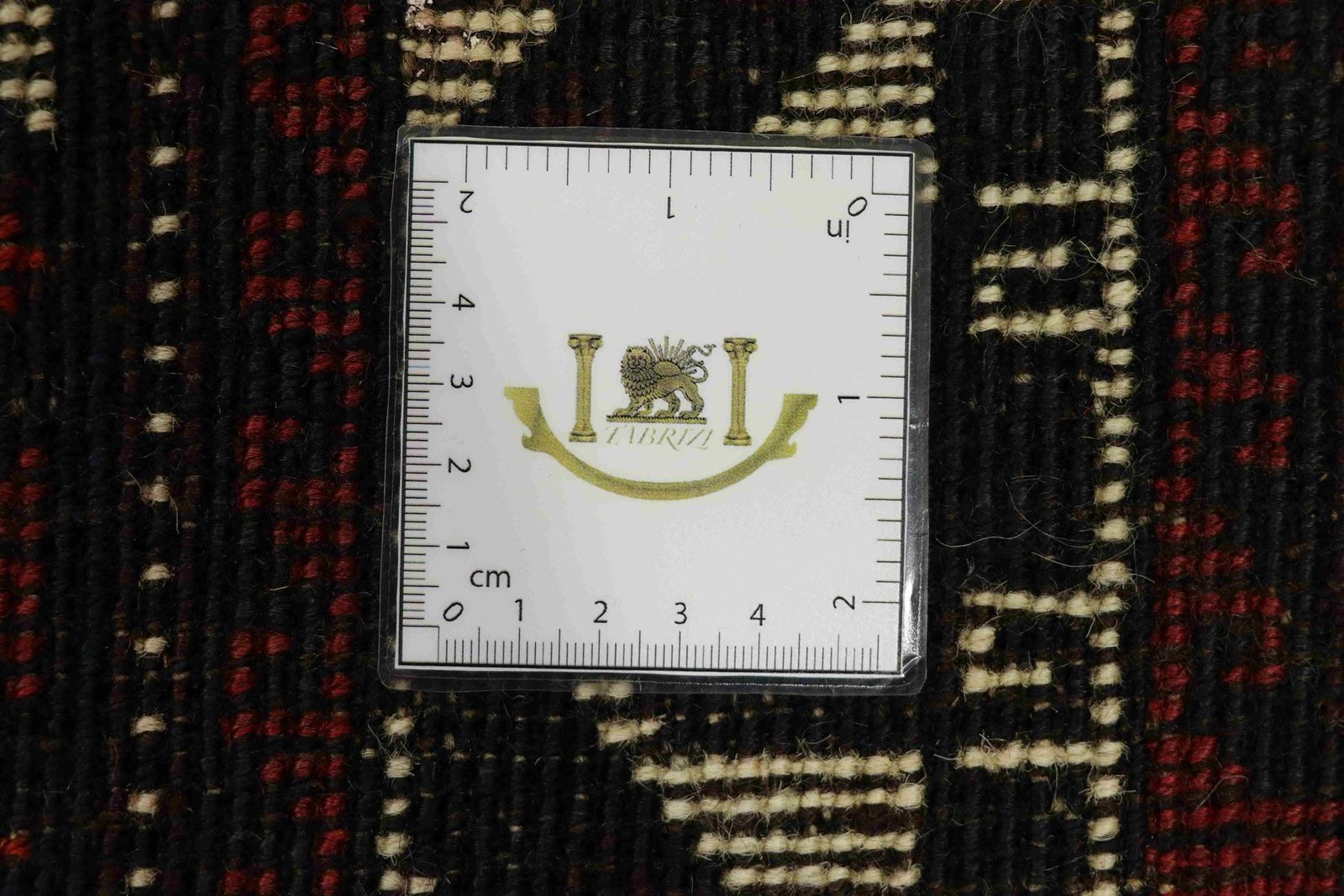 Shiraz 288x209 - Image 9