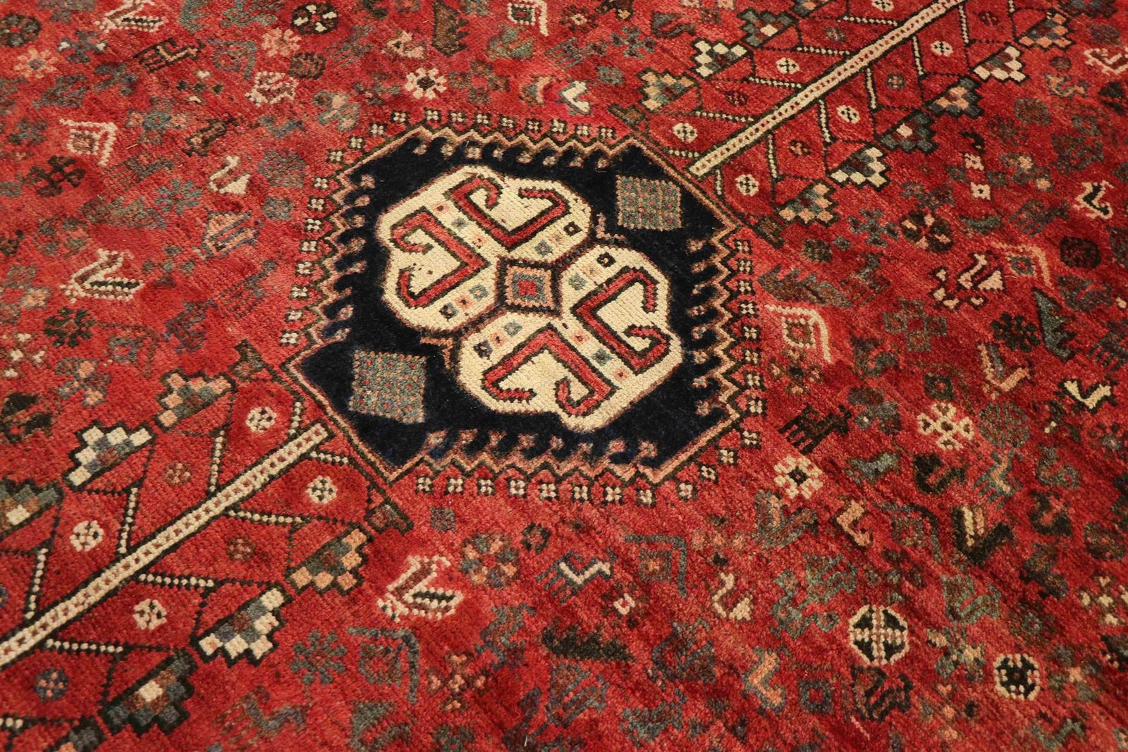 Shiraz 298x214 - Image 4