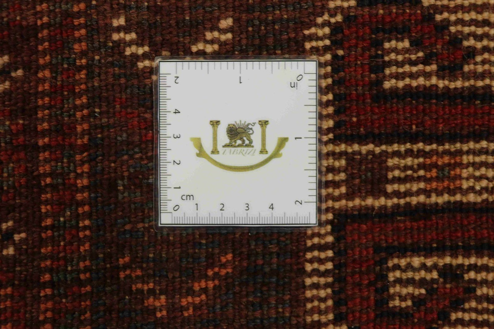 Shiraz 298x214 - Image 9