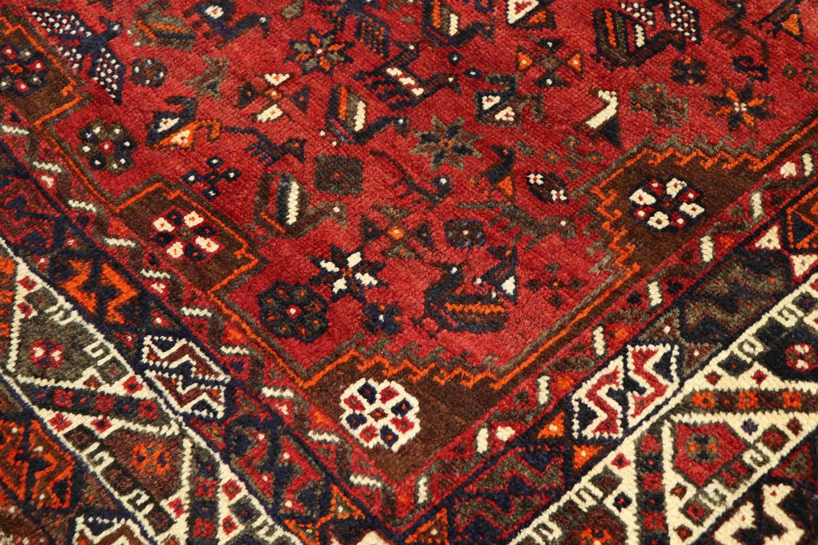 Shiraz 304x210 - Image 5