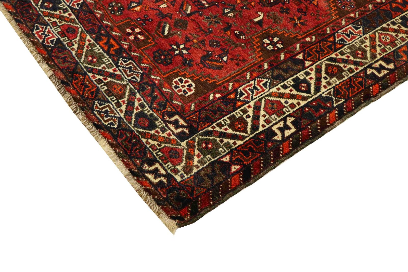 Shiraz 304x210 - Image 6