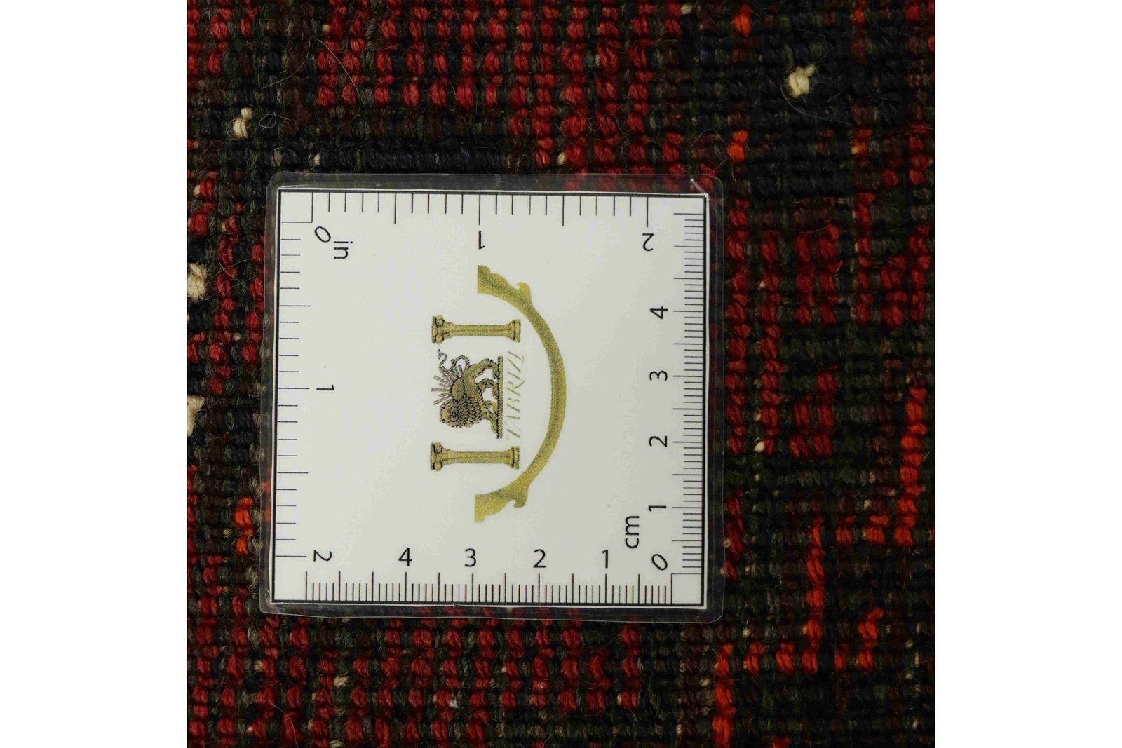 Shiraz 304x210 - Image 9