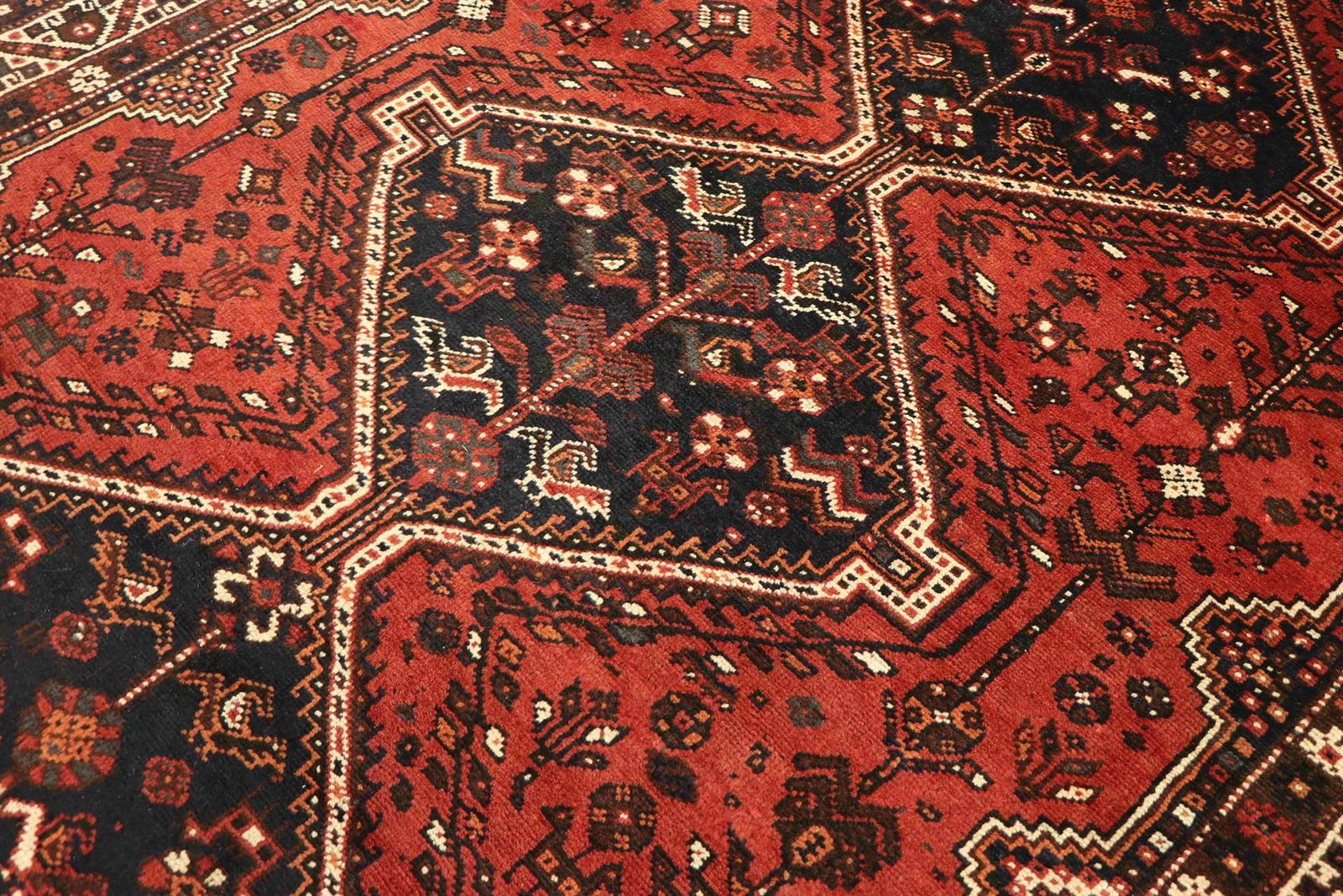 Shiraz 300x207 - Image 4