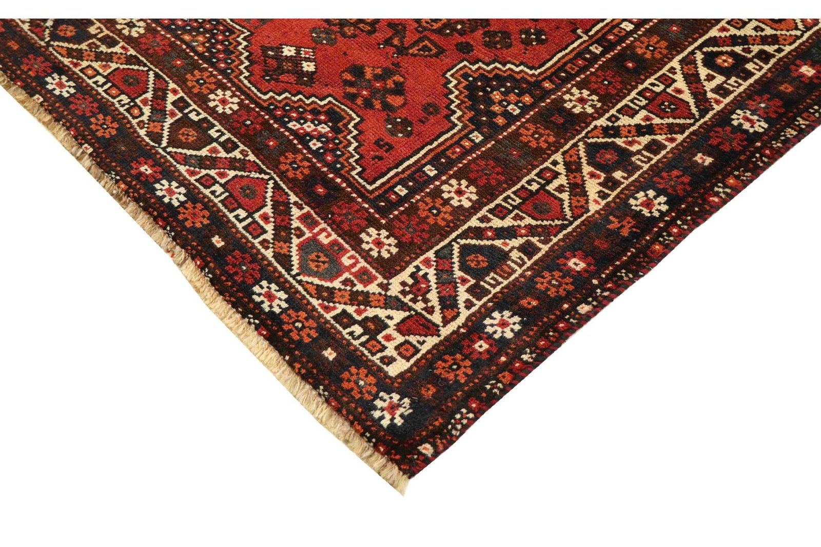 Shiraz 300x207 - Image 6